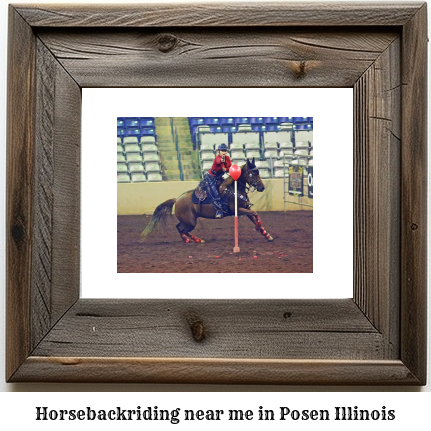 horseback riding near me in Posen, Illinois